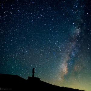 在线观看视频夏树唯
