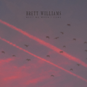 在线观看视频夏树唯
